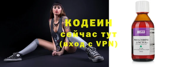 a pvp Новозыбков