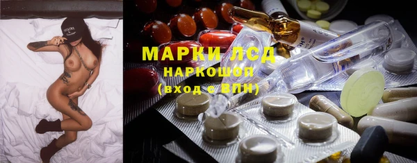 a pvp Новозыбков
